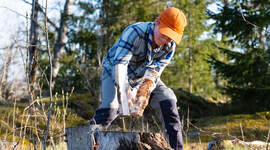Speider kløyver ved med øks.
