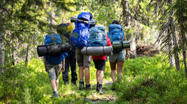 Speidere på tur i skogen med store ryggsekker. Speidere på tur i skogen med store ryggsekker.