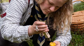Speiderleder på sopptur. Speiderleder på sopptur.