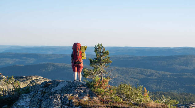 Speider som ser på utsikten fra en topp.  Speider som ser på utsikten fra en topp.