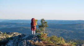 Speider som ser på utsikten fra en topp.  Speider som ser på utsikten fra en topp.