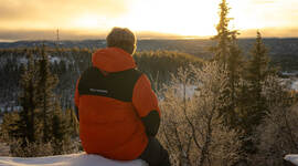 Speider som ser ut over solnedgangen.