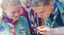 Speidere som prøver å finne ut hva noe lukter.