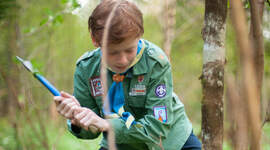 Speider som hogger tre med øks.