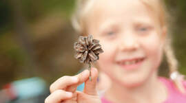 Illustrasjonsbilde. Illustrasjonsbilde.