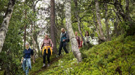 Speidere på tur i skogen.