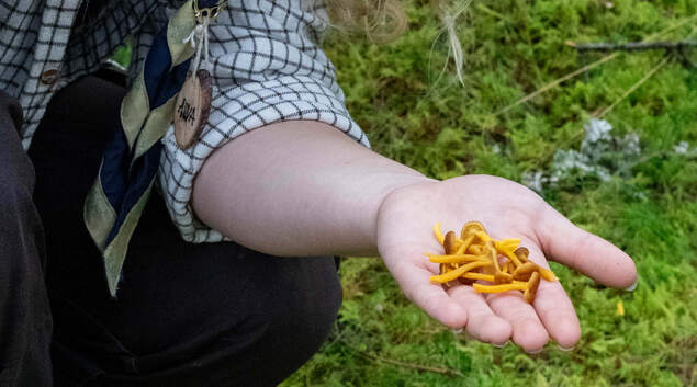 Speiderleder på sopptur. Speiderleder på sopptur.
