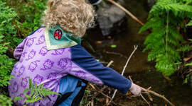 Speider som leker i en bekk. Speider som leker i en bekk.